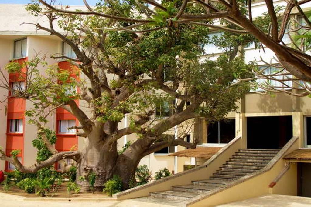 מבור Framissima Palm Beach מראה חיצוני תמונה